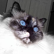 Tess joined the competition — help win amazing prizes!