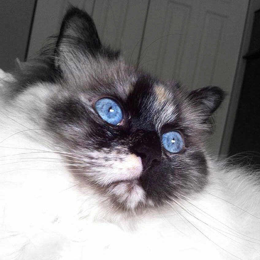 Tess joined the competition — help win amazing prizes!