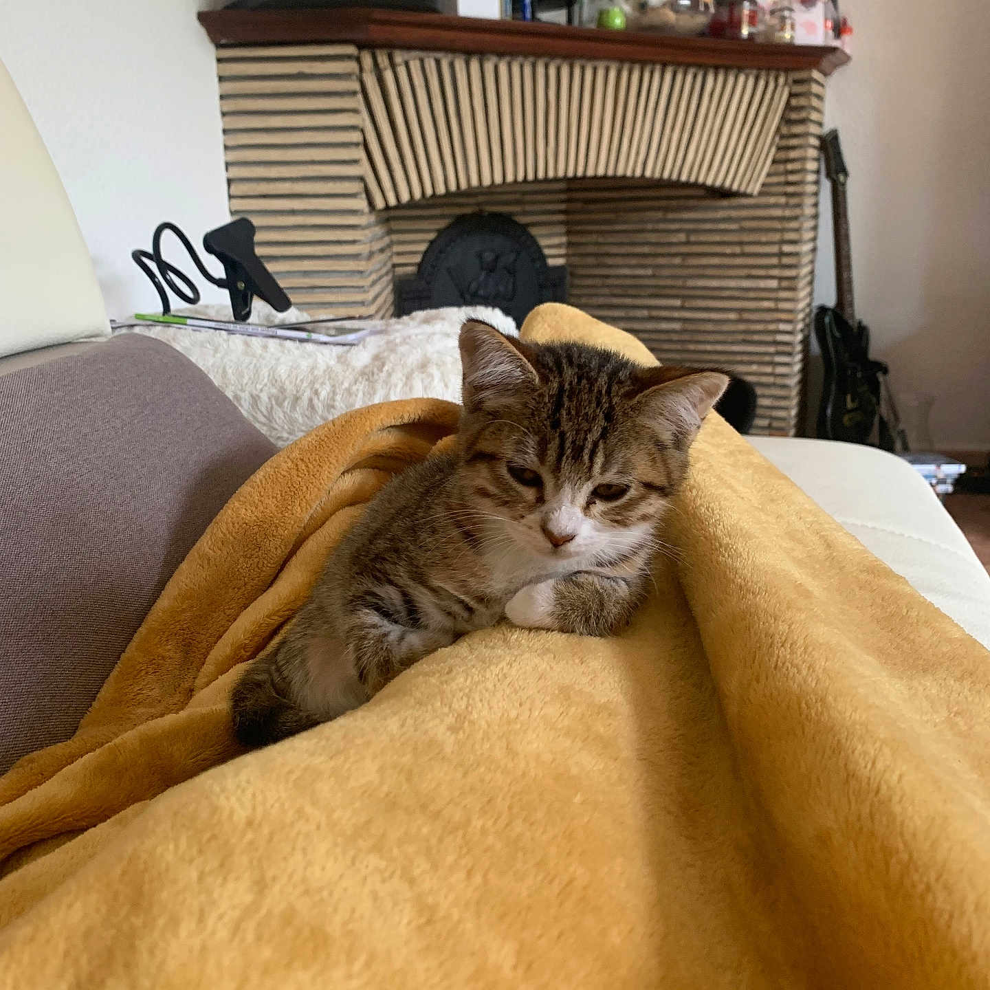 Yuki