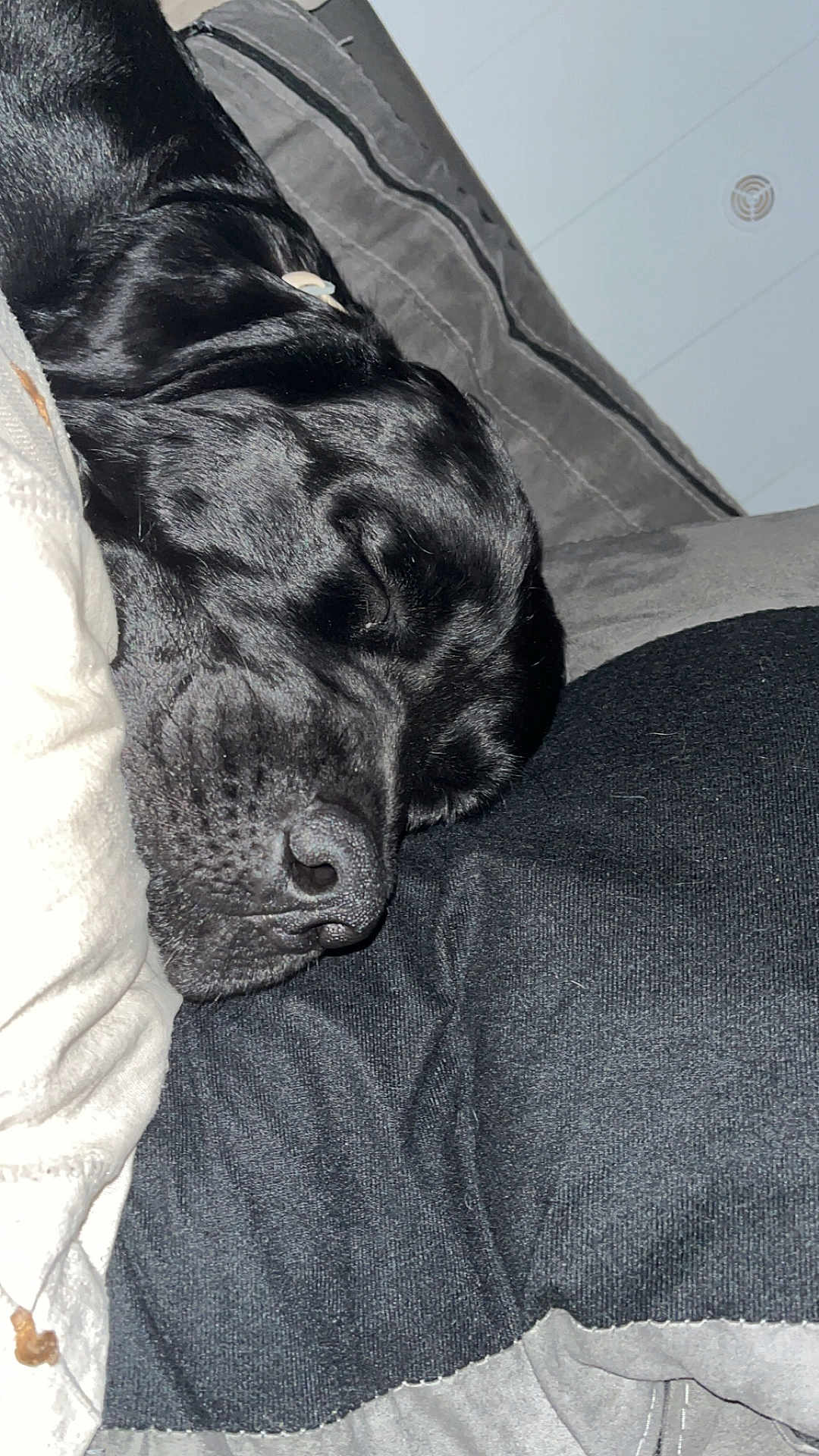 Pouff