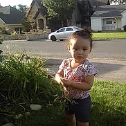 Nevaeh is registered to the contest to win money with this photo: toddler, child, grass, plant, leaves, suburban, street, house, car, daylight, outdoor, road, sidewalk, greenery, nature, casual_clothing, shorts, shirt, curly_hair, young_child