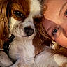 dog, cavalier_king_charles_spaniel, puppy, pet, person, woman, face, portrait, close_up, cuddling, companion, brown_and_white, long_hair, floppy_ears, blue_eyes, warm_lighting, sunlight, indoors, collar, affection