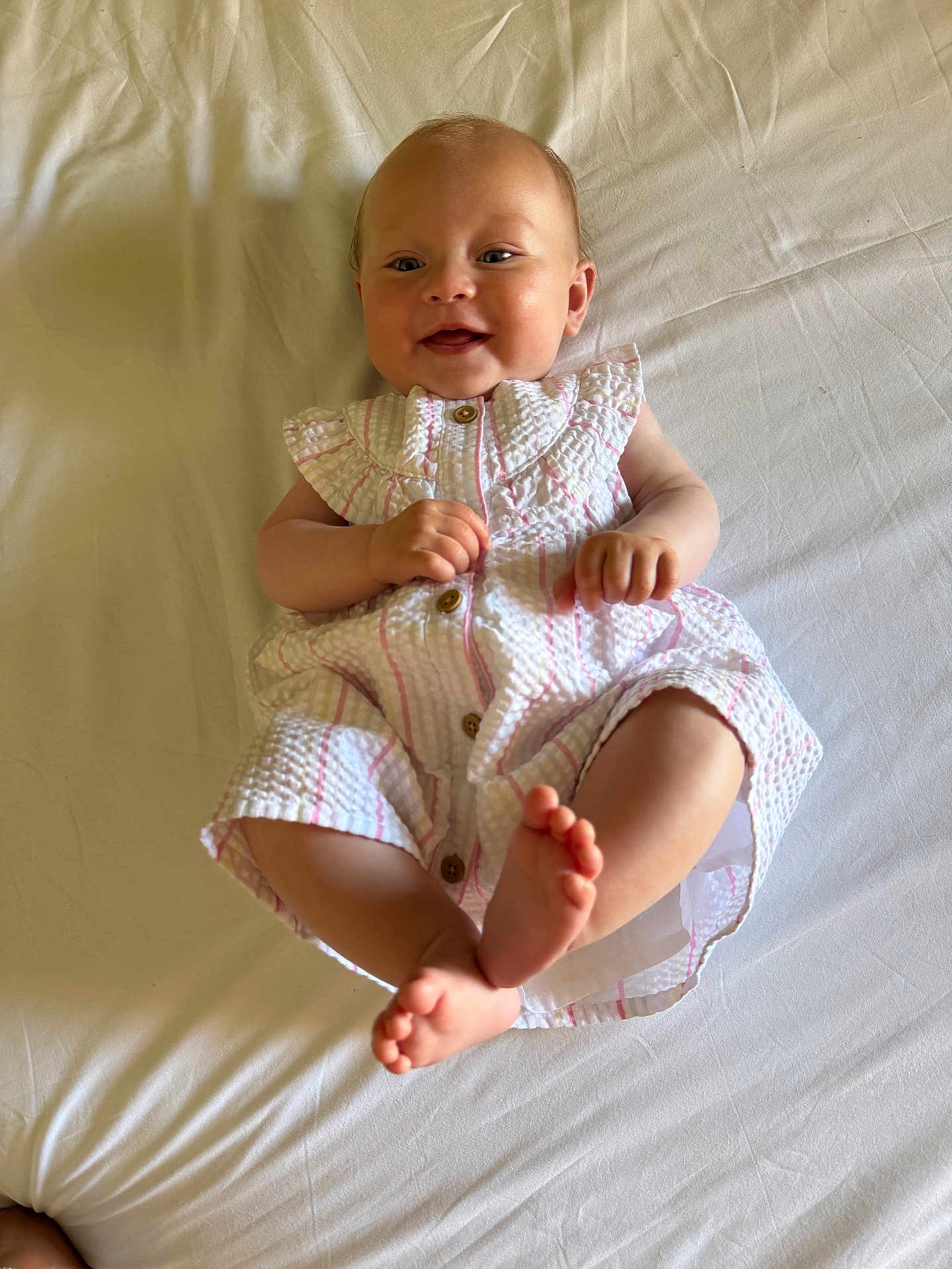 Isla
