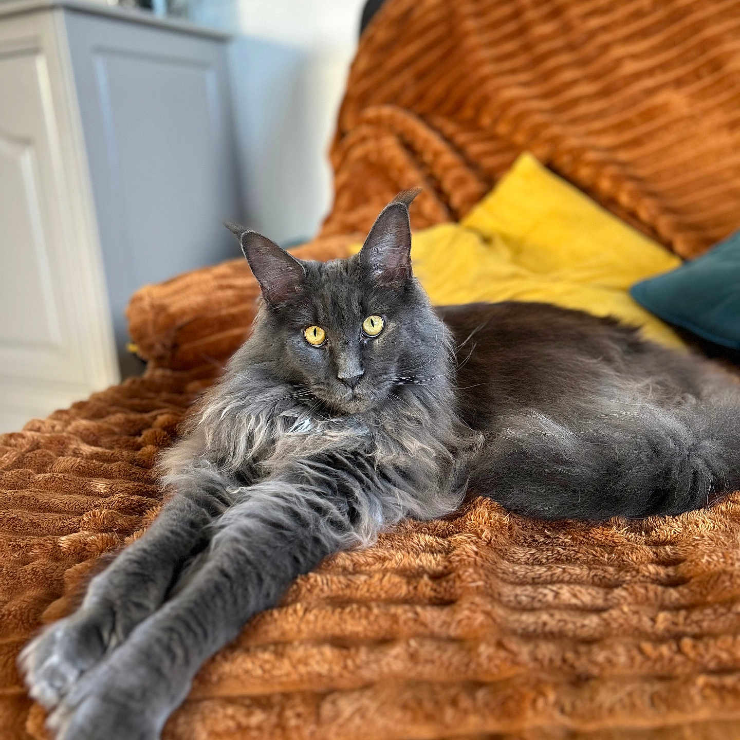 Gimli
