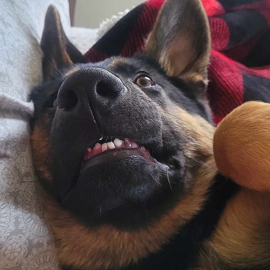 Max