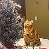 cat, orange_tabby, christmas_tree, table, indoor, decoration, holiday, festive, ornament, candle, wall_art, cross, curious, pet, feline, home, cozy, light, holiday_season, celebration