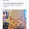 Ollie is registered to the contest to win money with this photo: cat, person, hand, headset, orange_tabby, indoor, computer_screen, text_overlay, smile, pet, holding, feline, technology, competition, pending_review, casual, sitting, closeup, relaxed, home
