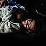 child, baby, adult, glasses, blanket, car_interior, seat, door_handle, hand, cuddling, sleeping, portrait, low_light, night, cozy, jacket, hair, face, travel, photograph