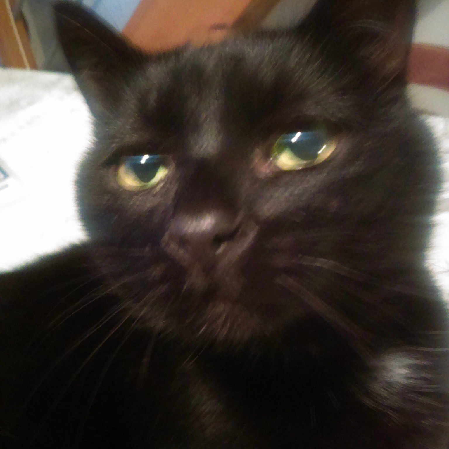 Mimie