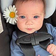 Lillyanna is registered to the contest to win money with this photo: baby, infant, car_seat, flower, daisy, blue_clothing, blanket, face, eyes, hand, straps, child, cute, portrait, indoors, seat, sitting, closeup, person, young