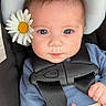 baby, infant, car_seat, flower, daisy, blue_clothing, blanket, face, eyes, hand, straps, child, cute, portrait, indoors, seat, sitting, closeup, person, young