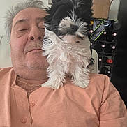 Alvin participe au concours pour gagner de l'argent avec cette photo : man, puppy, dog, sleeping, indoor, casual_clothing, facial_hair, white_hair, pet, companion, relaxation, furniture, bottle_rack, cardboard_box, living_room, portrait, cute, fluffy, close_up, human_animal_interaction