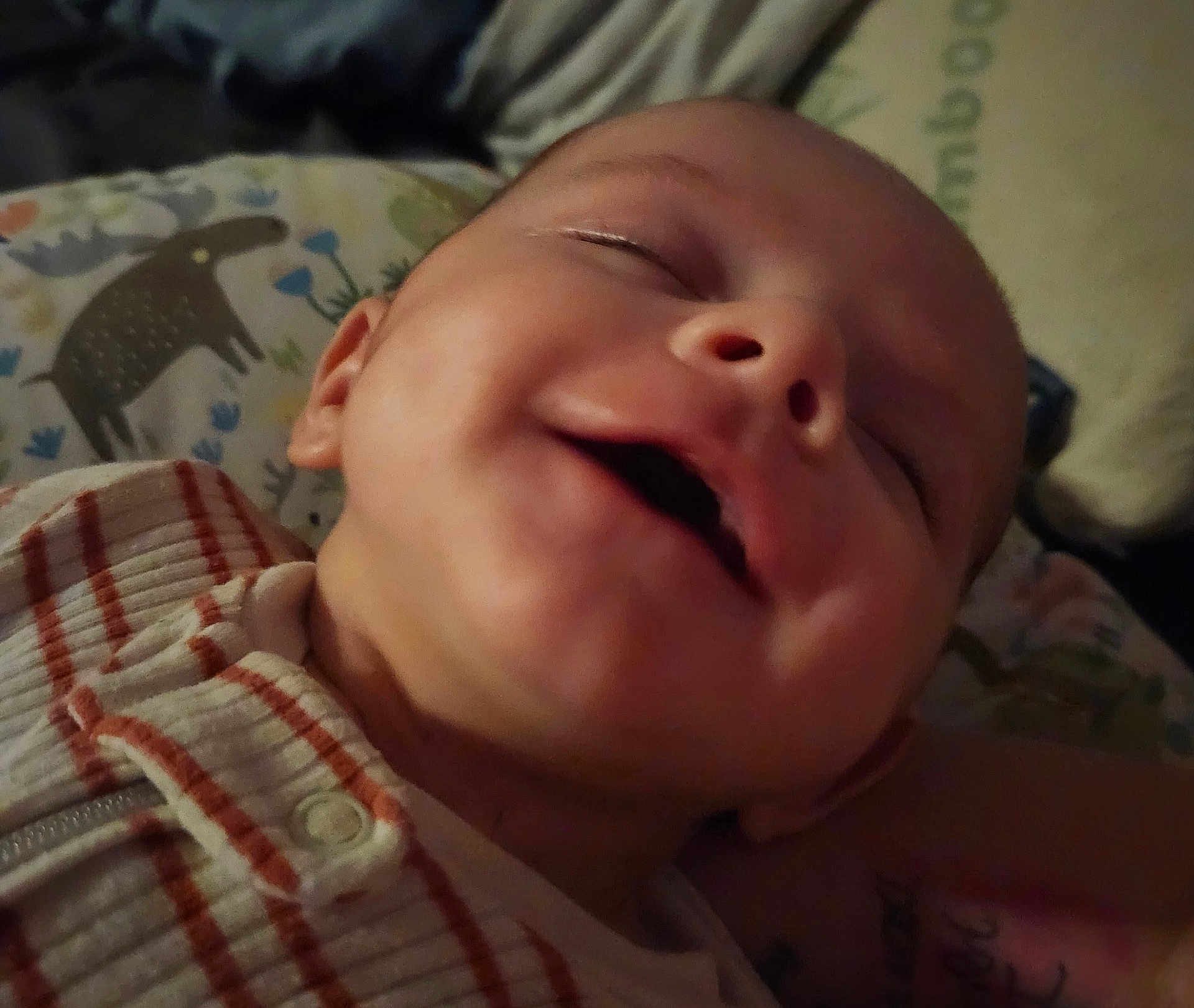 Henry is registered to the contest to win money with this photo: baby, smile, close_up, face, infant, sleeping, striped_clothing, pillow, animal_print, cute, child, portrait, young_child, soft_lighting, indoor, happy, peaceful, person, head, toddler