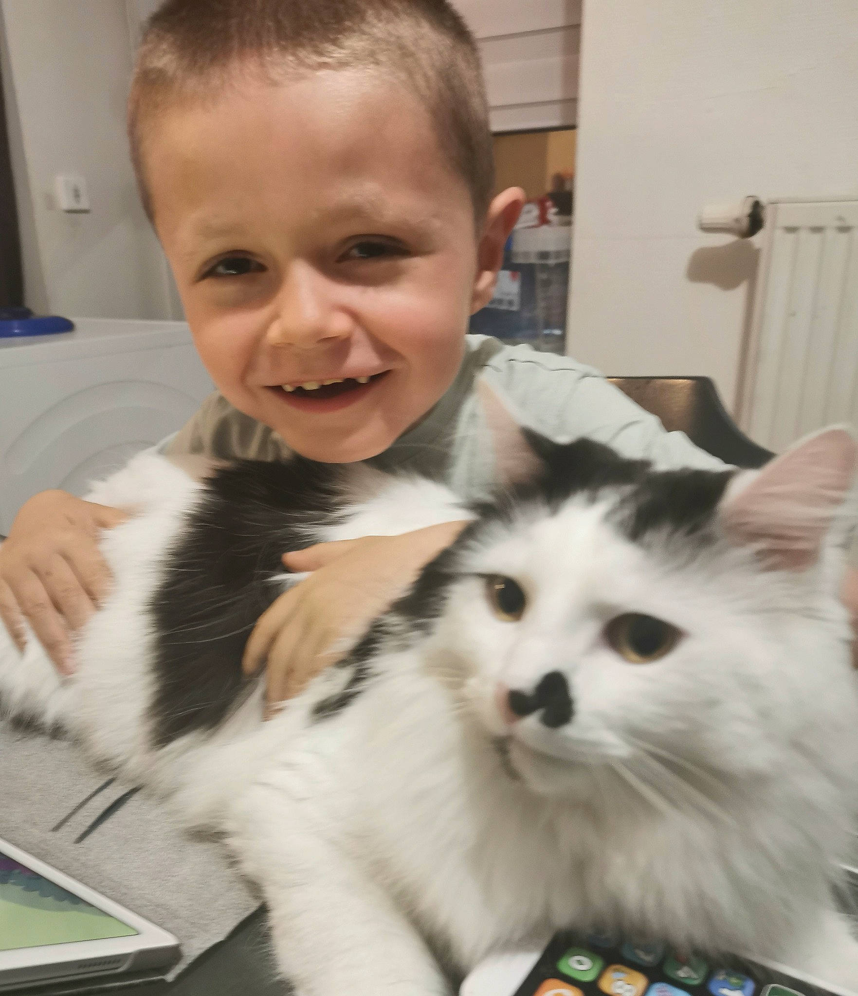 Rouky participe au concours pour gagner de l'argent avec cette photo : carnivore, cat, child, companion_dog, domestic_short_haired_cat, eye, felidae, fur, happy, iris, lap, mammal, nose, paw, sitting, small_to_medium_sized_cats, smile, snout, toddler, whiskers