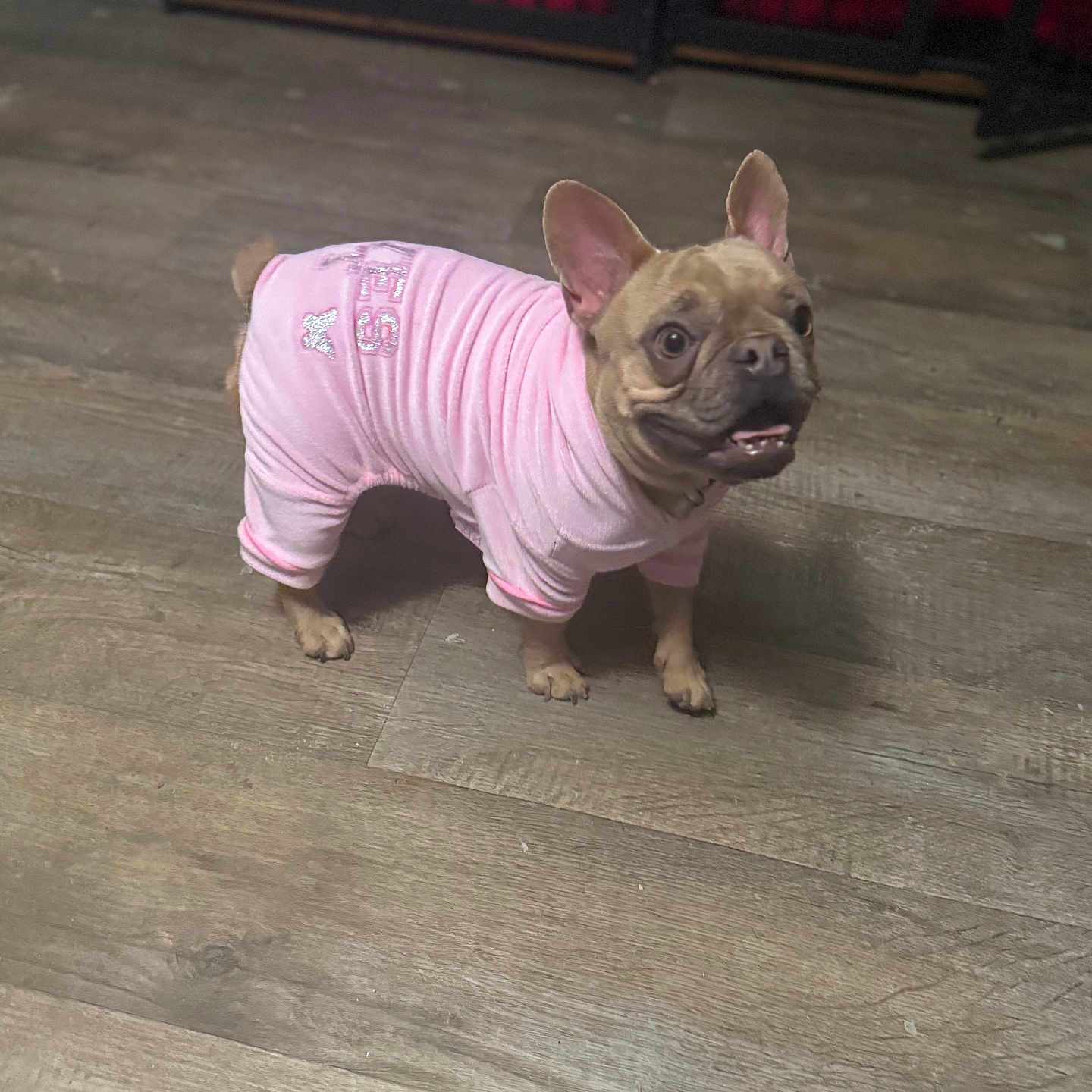 Chloe