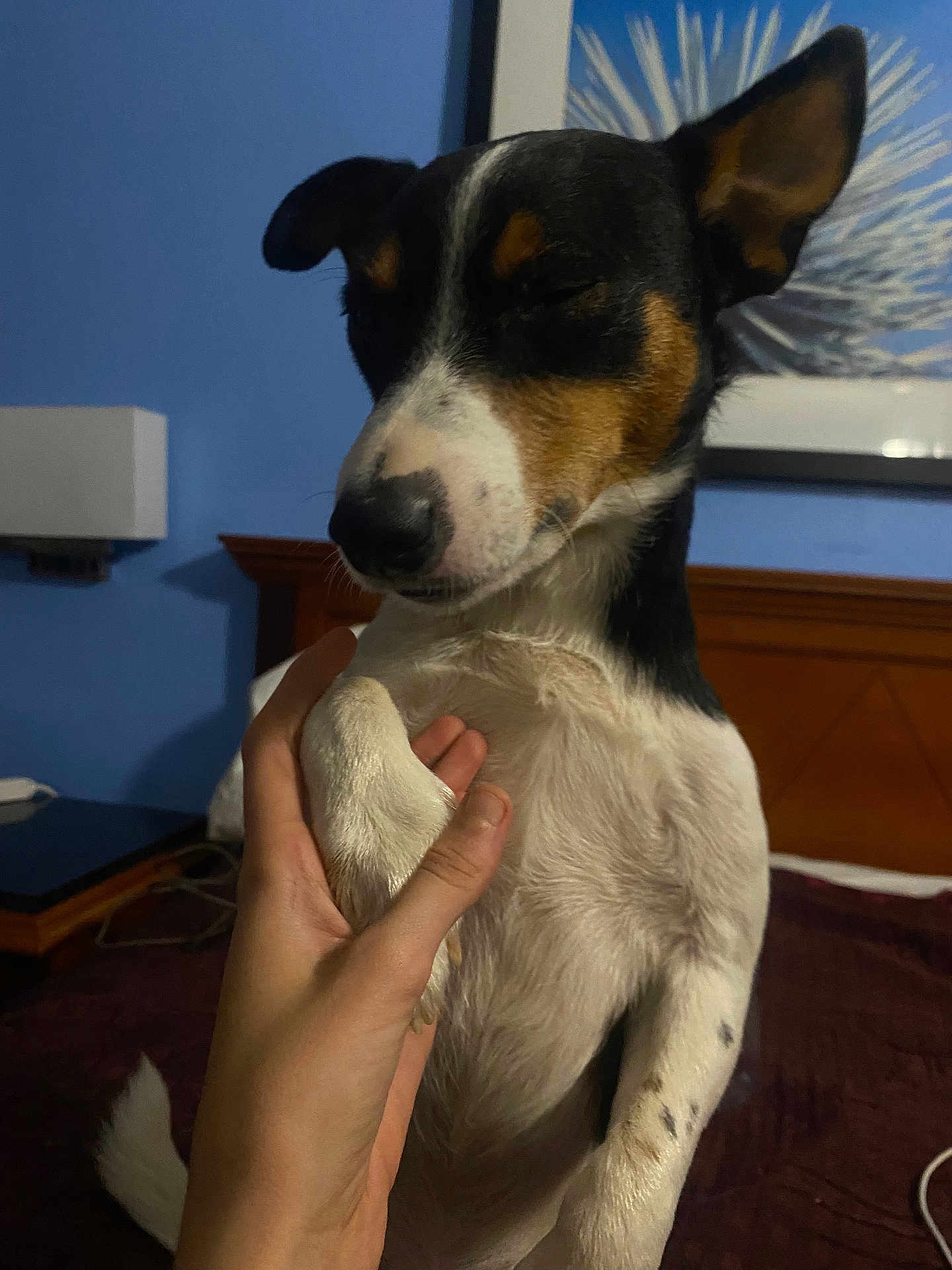 Zeus