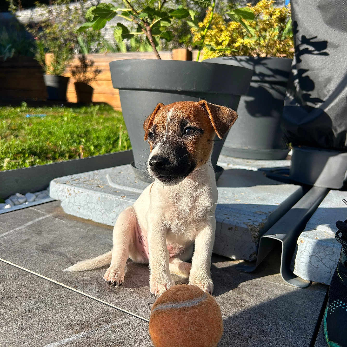 Benny