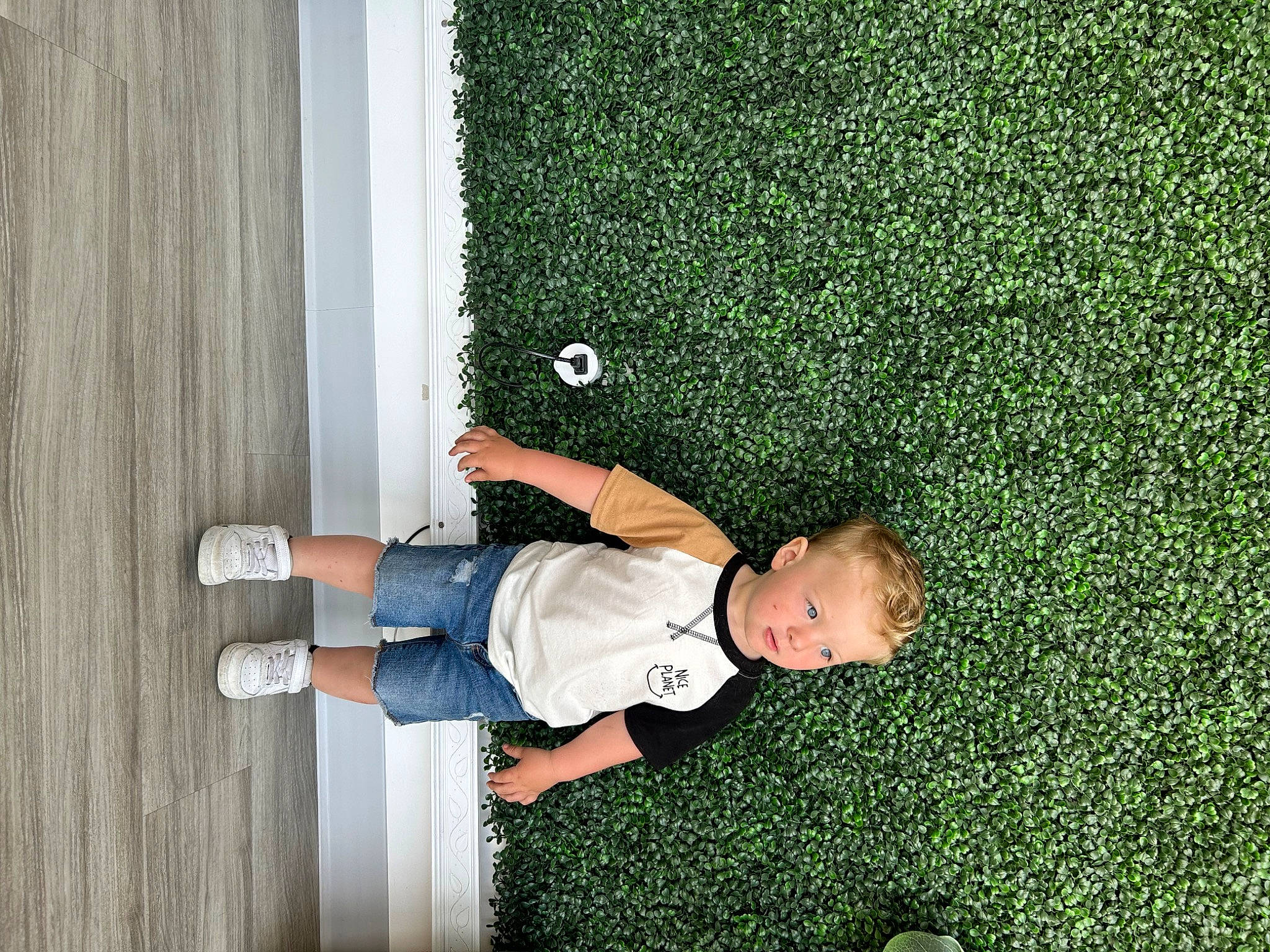 Finnegan joined the competition — help win amazing prizes! child, door, elbow, flooring, fun, garden, grass, groundcover, hedge, human_leg, leg, leisure, pattern, people_in_nature, person, plant, shrub, sitting, t_shirt, toddler