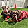 Winston- Barkley