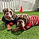 Winston- Barkley