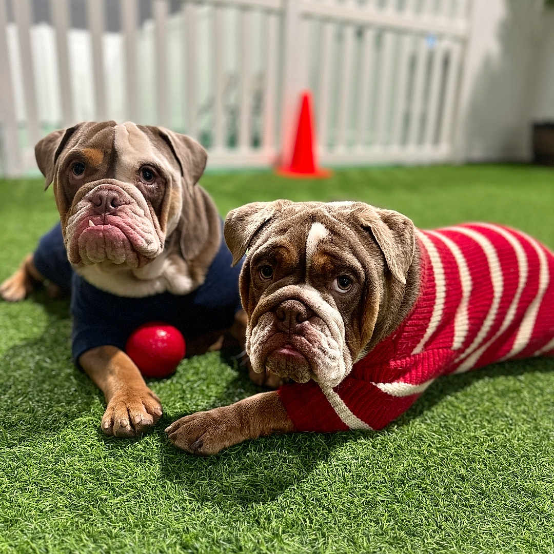 Winston- Barkley