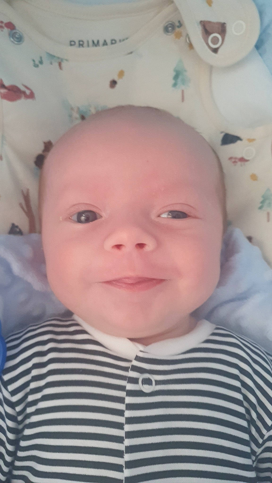 Ollie is registered to the contest to win money with this photo: baby, baby_products, baby_toddler_clothing, cheek, child, comfort, eyebrow, eyelash, fun, happy, iris, linens, lip, mouth, nose, person, pink, skin, sleeve, smile