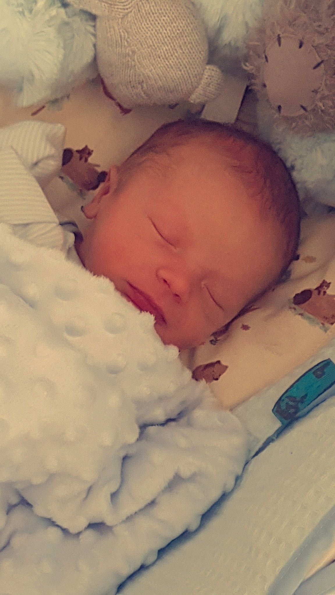 Ollie joined the competition — help win amazing prizes! baby, baby_sleeping, baby_toddler_clothing, bedding, bedtime, cheek, child, chin, comfort, eye, eyebrow, face, happy, iris, linens, mouth, nose, person, room, skin