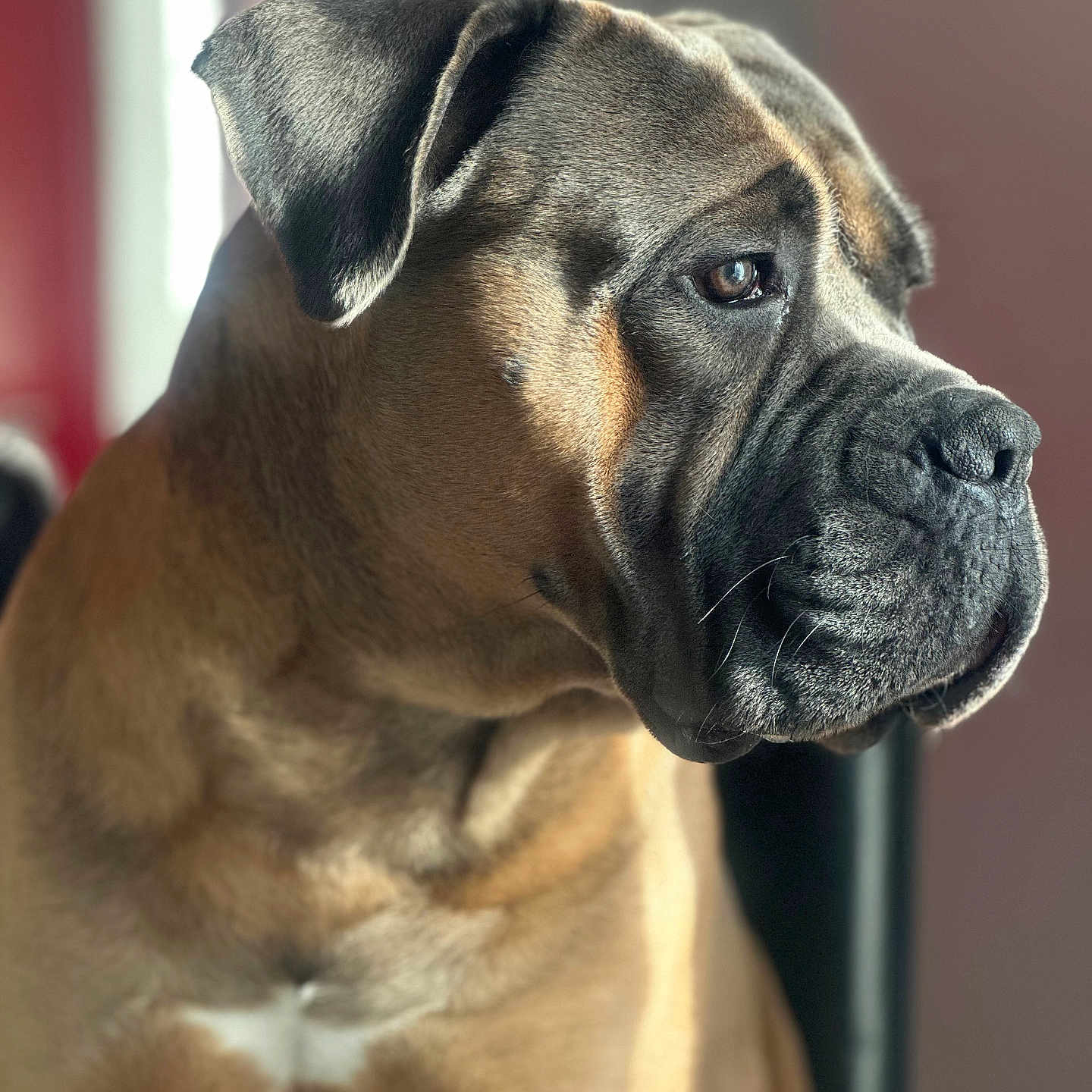 Tyson