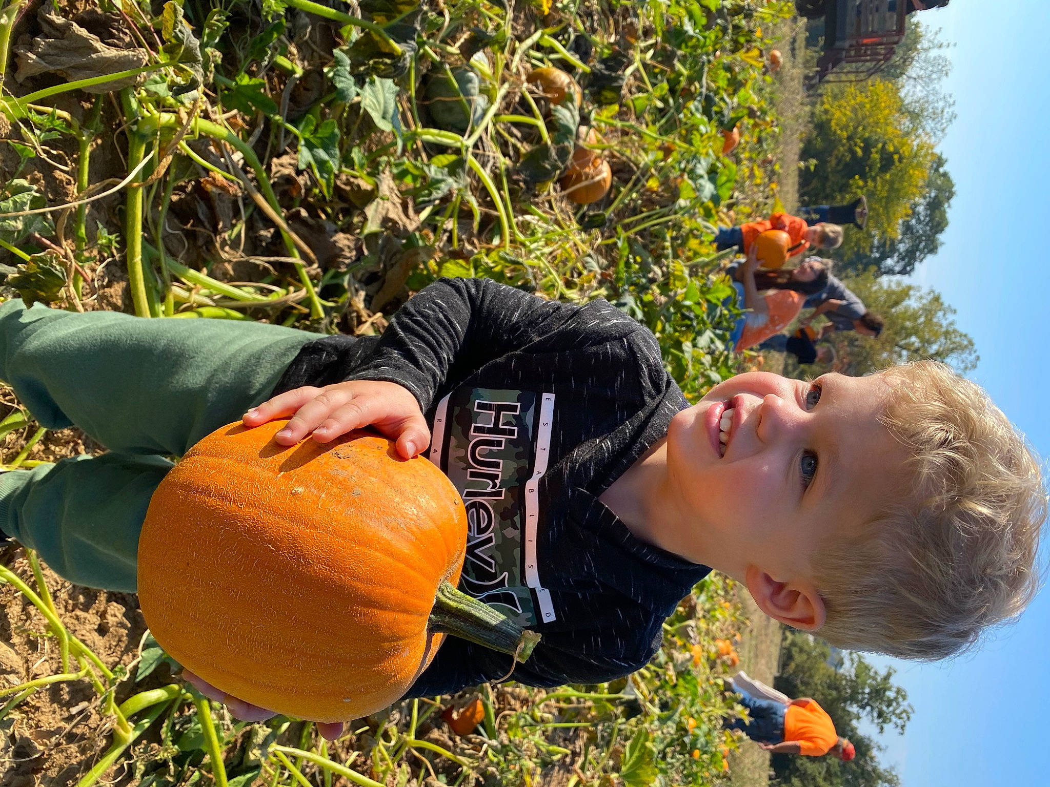 Westyn joined the competition — help win amazing prizes! botany, calabaza, cucurbita, fruit, gourd, grass, happy, leaf, leisure, natural_foods, people, people_in_nature, person, plant, pumpkin, sky, smile, squash, tree, vegetable