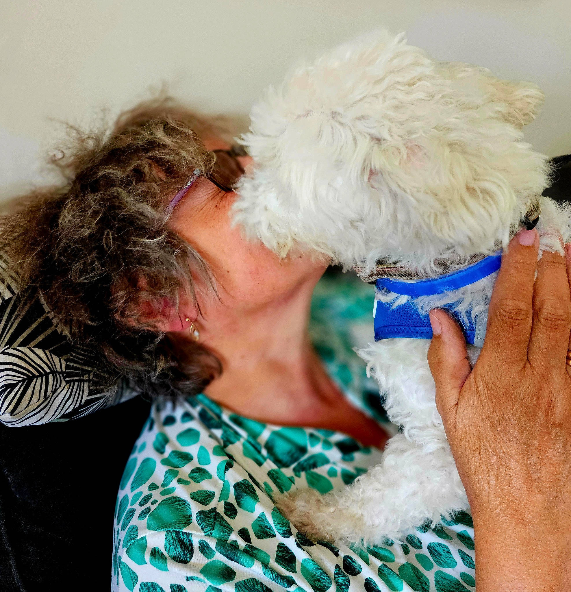 Fripouille a rejoint le concours — aidez-le/la à gagner de superbes lots ! canidae, carnivore, child, companion_dog, dog, dog_breed, dog_clothes, dog_collar, dog_supply, eyewear, fashion_accessory, fur, gesture, labradoodle, poodle, small_terrier, sporting_group, sunglasses, terrier, toy_dog