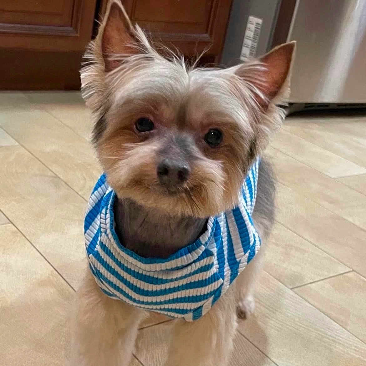 Leo