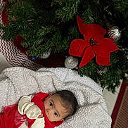 Arely is registered to the contest to win money with this photo: baby, blanket, celebration, christmas_ornaments, christmas_tree, cute, decorations, face, festive, gloves, holiday, indoor, infant, lying_down, person, poinsettia, red_clothing, seasonal, white_clothing, young_child