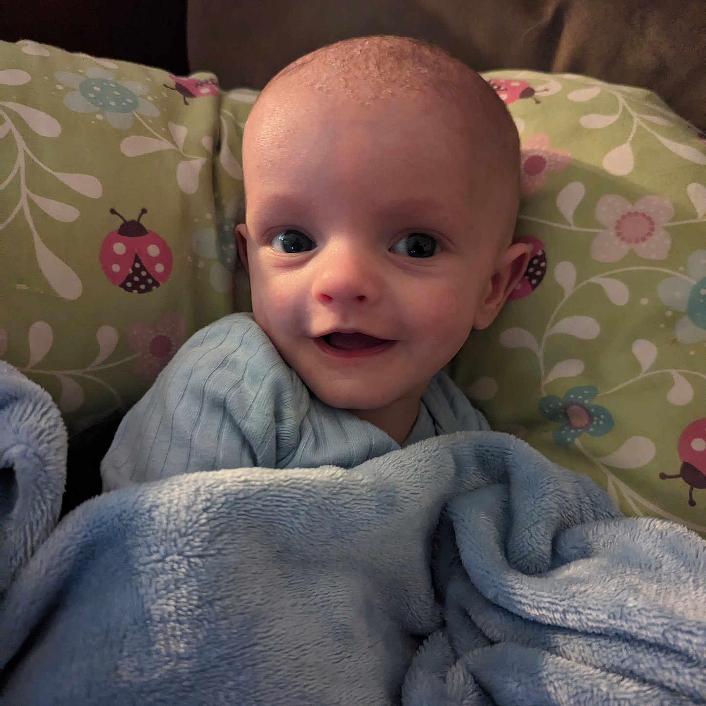 Maximus is registered to the contest to win money with this photo: baby, blanket, bodypart, clothing, couch, cushion, face, finger, furniture, hand, head, homedecor, knitwear, linen, newborn, person, photography, portrait, quilt, towel