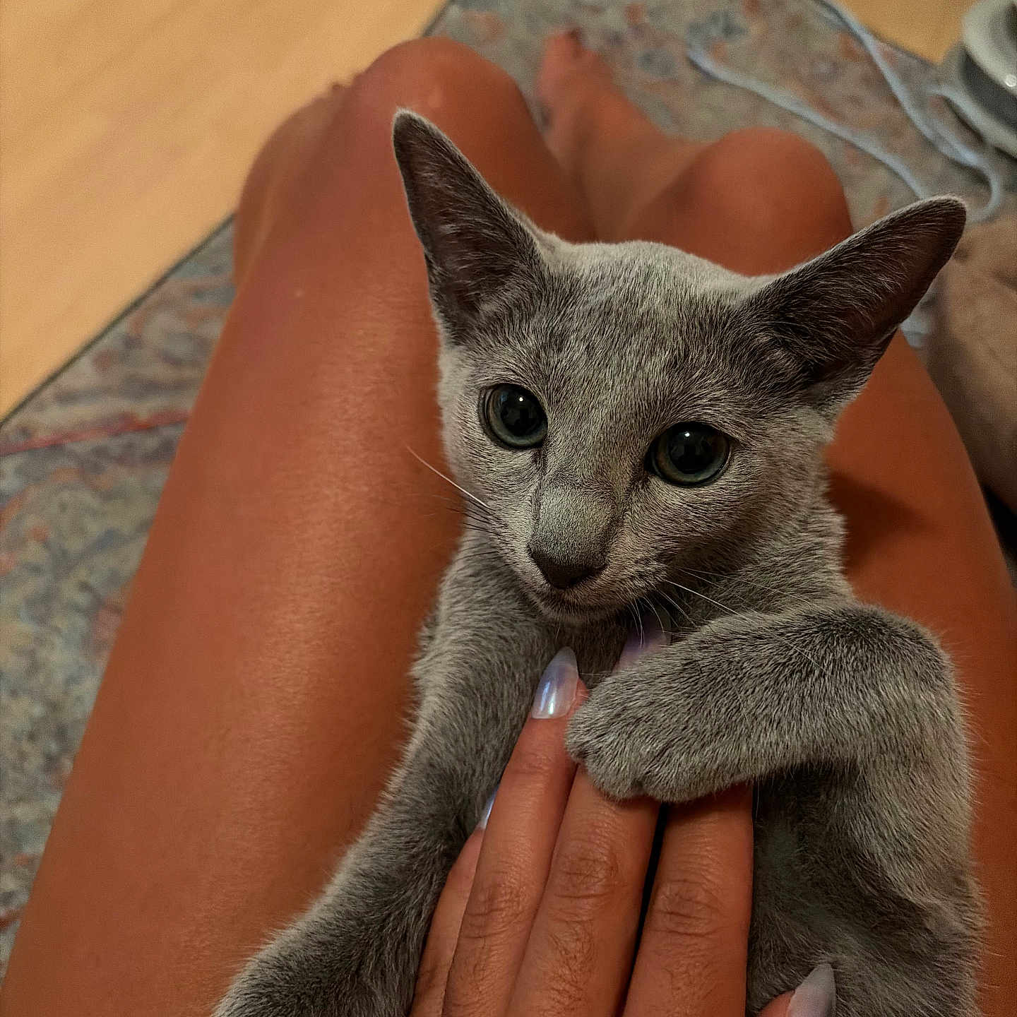 Kalea