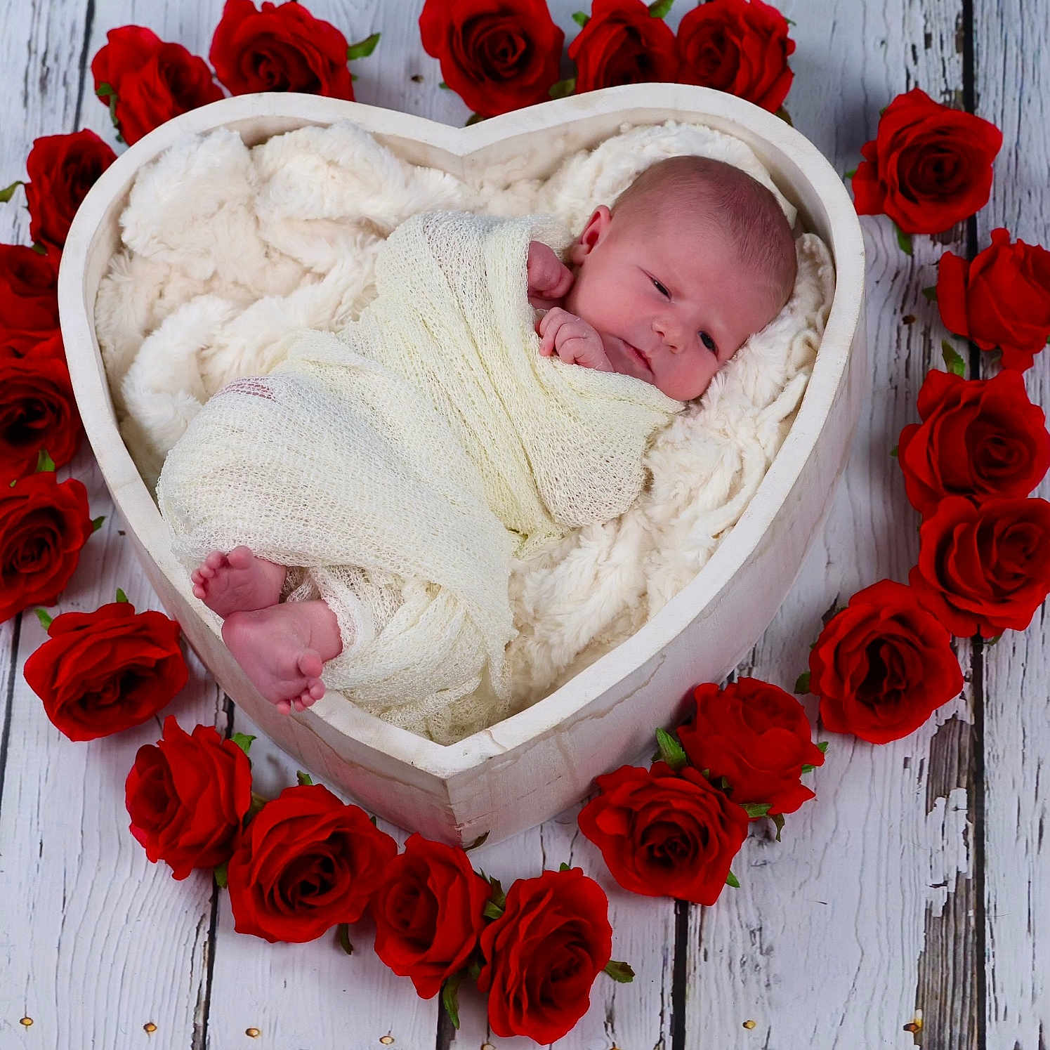 Saylor joined the competition — help win amazing prizes! baby, basket, bed, blanket, cradle, crib, face, flower, flowerarrangement, flowerbouquet, furniture, head, infantbed, newborn, person, petal, photography, plant, portrait, rose
