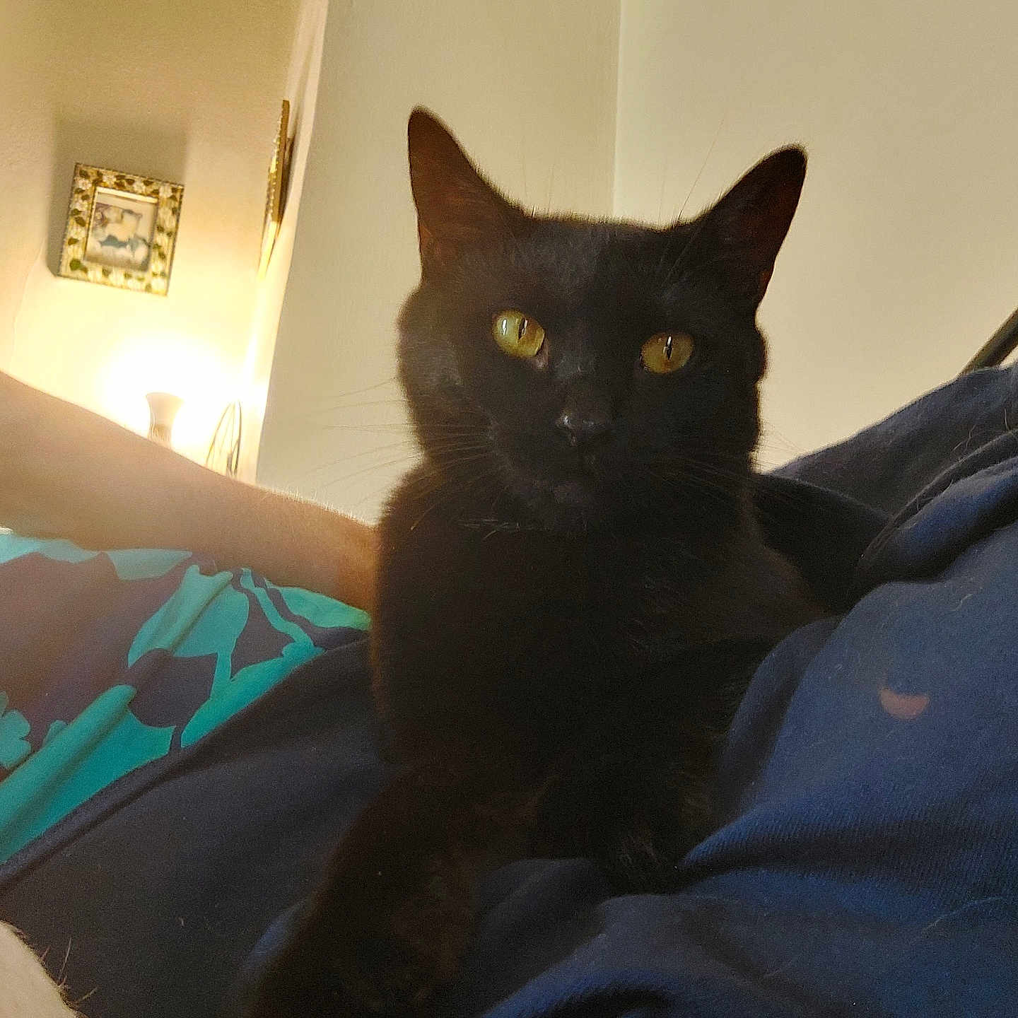 Onyx