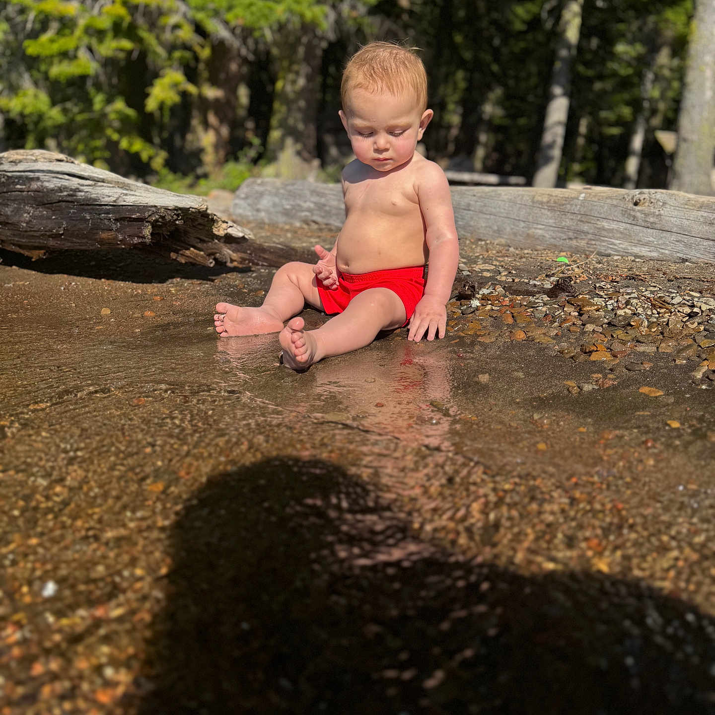 Asher is registered to the contest to win money with this photo: barefoot, child, curious, daylight, exploring, forest, log, nature, outdoor, pebbles, red_shorts, reflection, riverbank, shadow, sitting, skin, summer, sunlight, toddler, water