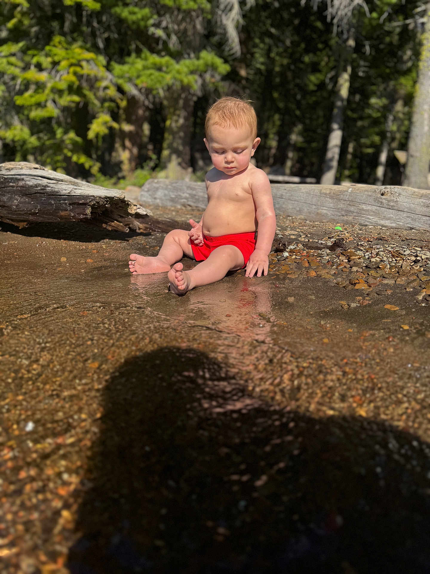 Asher