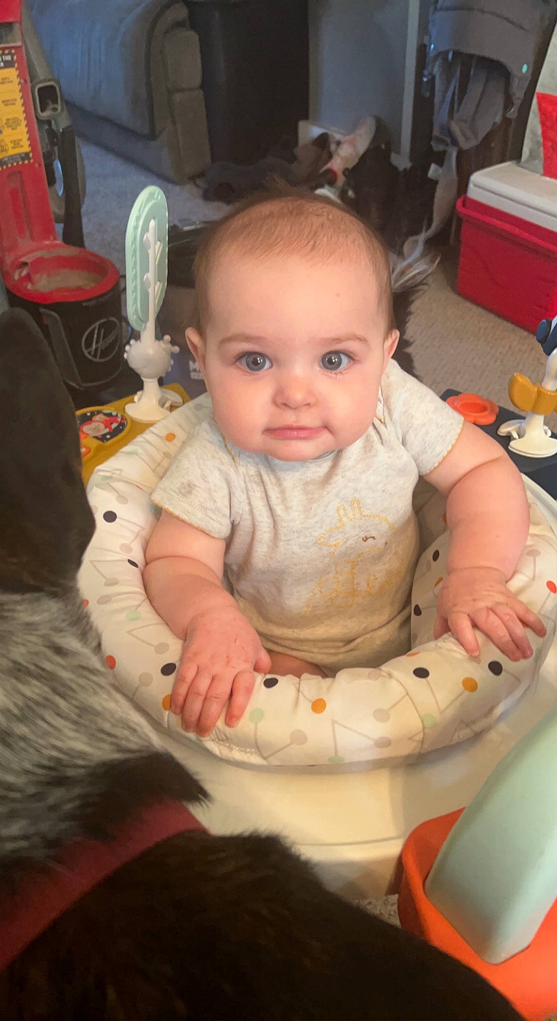 Ellie is registered to the contest to win money with this photo: baby, baby_products, baby_toddler_clothing, bib, chair, cheek, child, event, facial_expression, finger, flooring, fun, hairstyle, head, iris, mouth, person, sitting, skin, smile