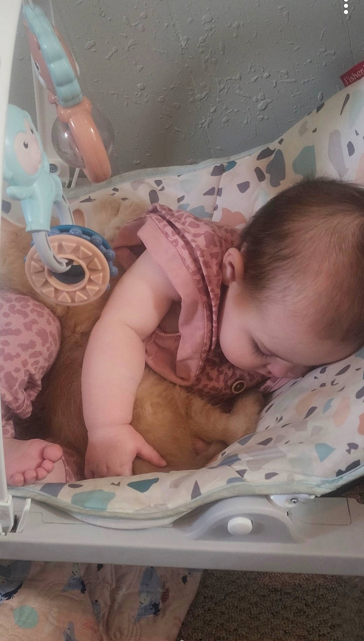 Ellie joined the competition — help win amazing prizes! abdomen, baby, baby_products, baby_safety, baby_toddler_clothing, beauty, bed, child, comfort, hospital, linens, machine, mammal, mouth, person, product, room, service, skin, toddler