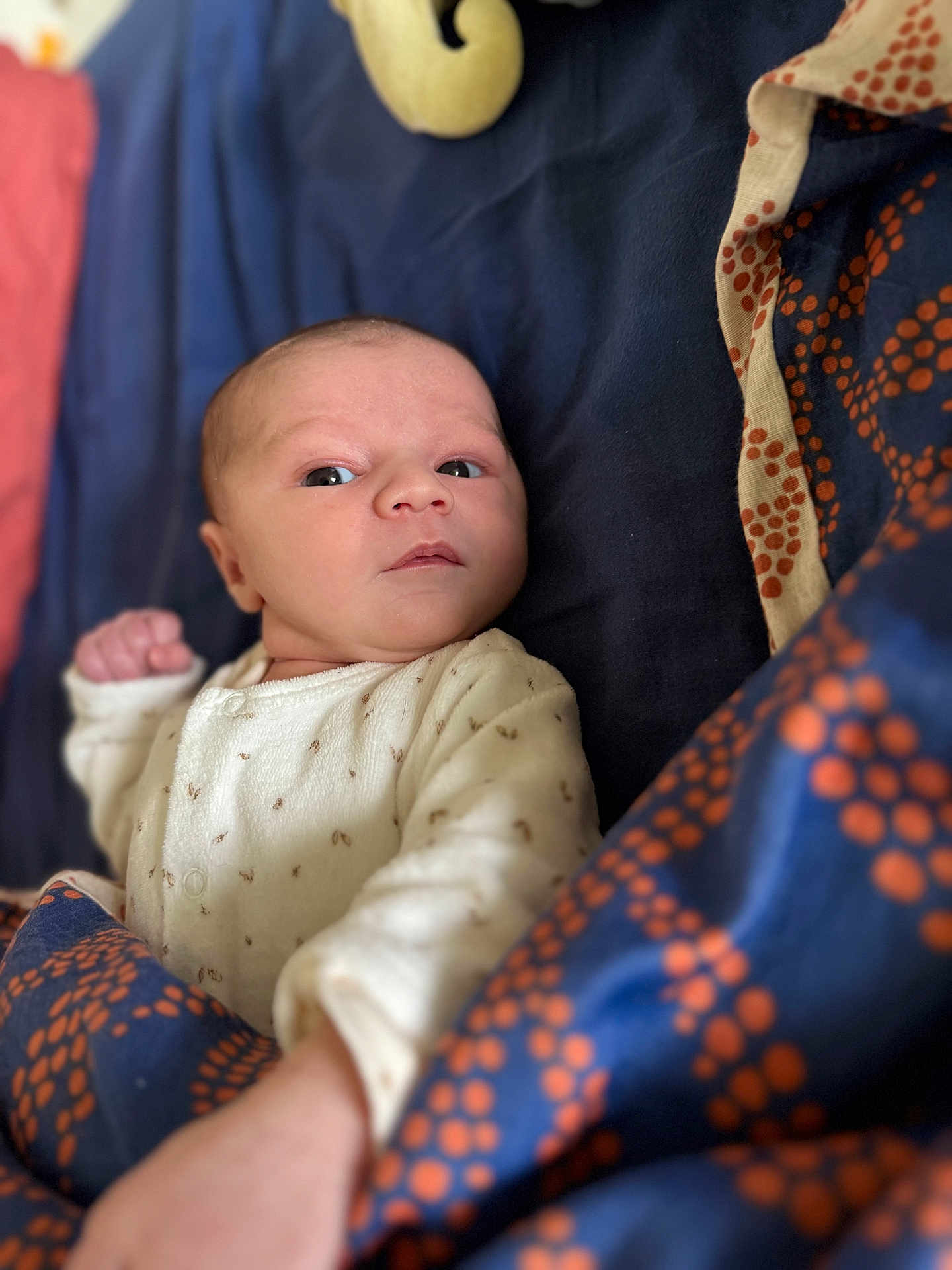 Mahiné a rejoint le concours — aidez-le/la à gagner de superbes lots ! baby, infant, blanket, blue, orange, pattern, onesie, clothing, face, skin, hand, lying_down, portrait, indoor, young_child, newborn, expression, cozy, soft_focus, curious