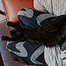Yoko a rejoint le concours — aidez-le/la à gagner de superbes lots ! cat, black_cat, pet, indoor, lap, person, pants, patterned_pants, furniture, chair, tile_floor, relaxed, stretching, fluffy, animal, resting, cozy, home, casual, comfort