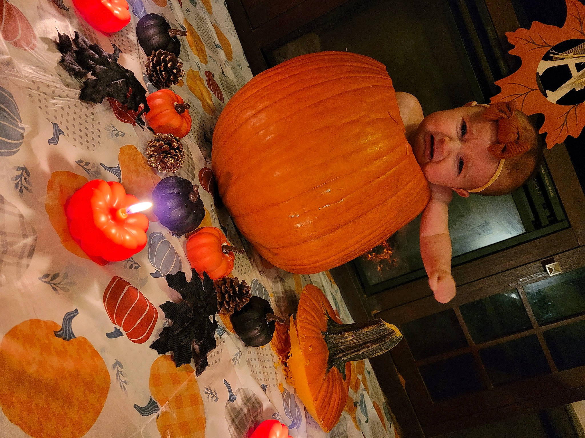 Anara joined the competition — help win amazing prizes! balloon, calabaza, cucurbita, event, fun, gourd, jack_o_lantern, natural_foods, orange, organism, party_supply, person, plant, produce, pumpkin, room, squash, tree, trick_or_treat, vegetable