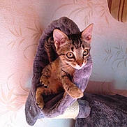 Titou participe au concours pour gagner de l'argent avec cette photo :