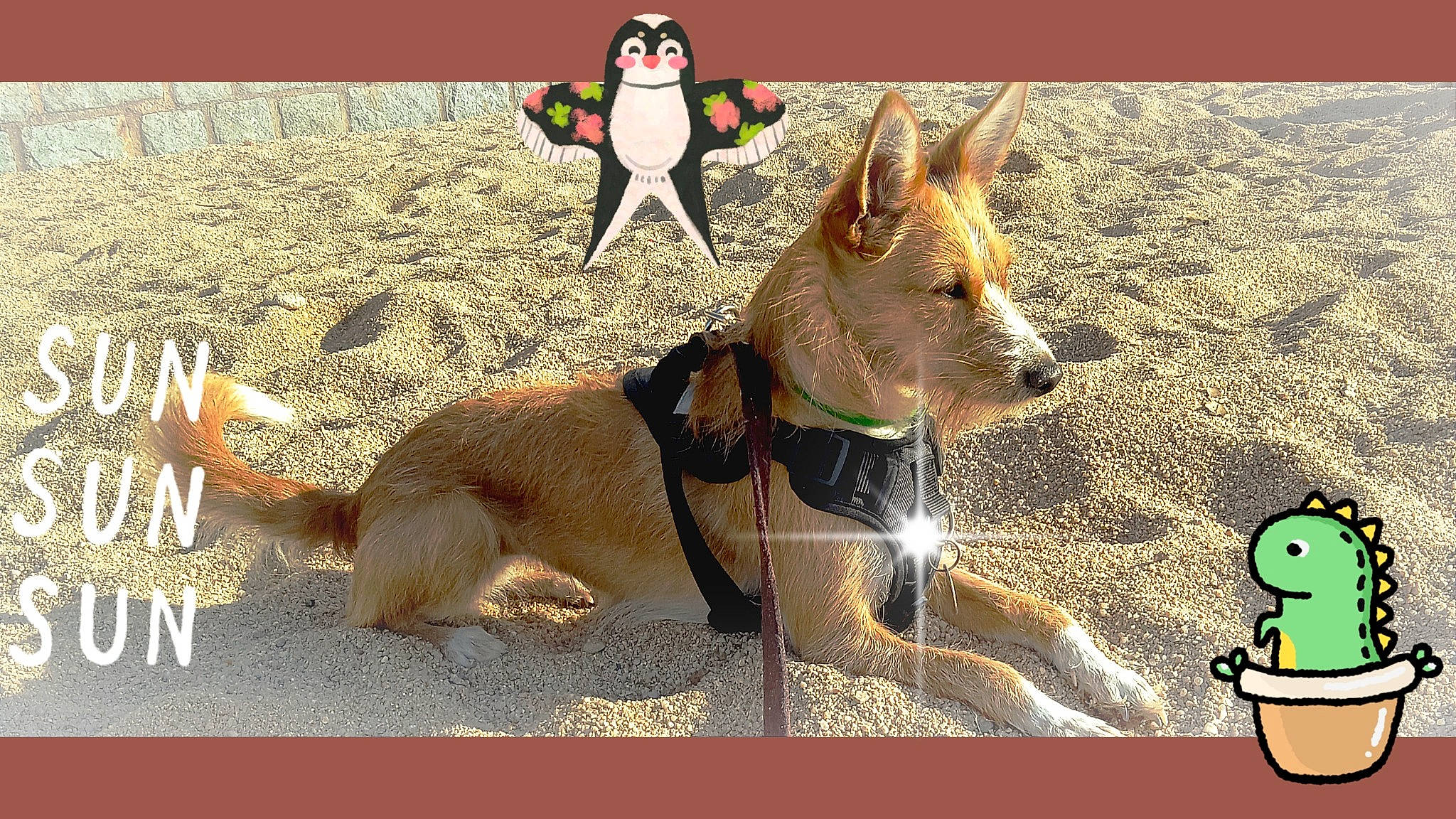 Misty a rejoint le concours — aidez-le/la à gagner de superbes lots ! animation, canidae, carnivore, collar, companion_dog, dog, dog_breed, dog_collar, dog_supply, eyewear, fashion_accessory, fawn, happy, leash, mammal, pack_animal, pet_supply, sporting_group, tail, vertebrate