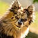 Vanille