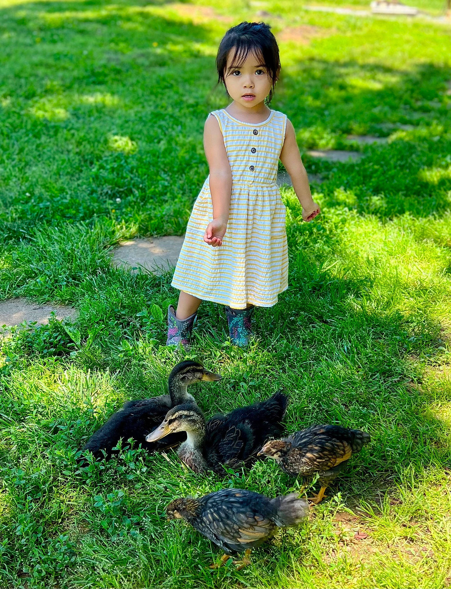 Shiloh is registered to the contest to win money with this photo: baby_toddler_clothing, beak, child, grass, grass_family, grassland, green, groundcover, happy, landscape, lawn, leisure, pattern, people_in_nature, person, plant, summer, tail, terrestrial_animal, toddler