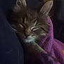 kitten, cat, sleeping, blanket, purple_blanket, cozy, furry, pet, resting, indoors, cute, fur, animal, snuggled, soft, warm, closeup, peaceful, young, domestic_cat
