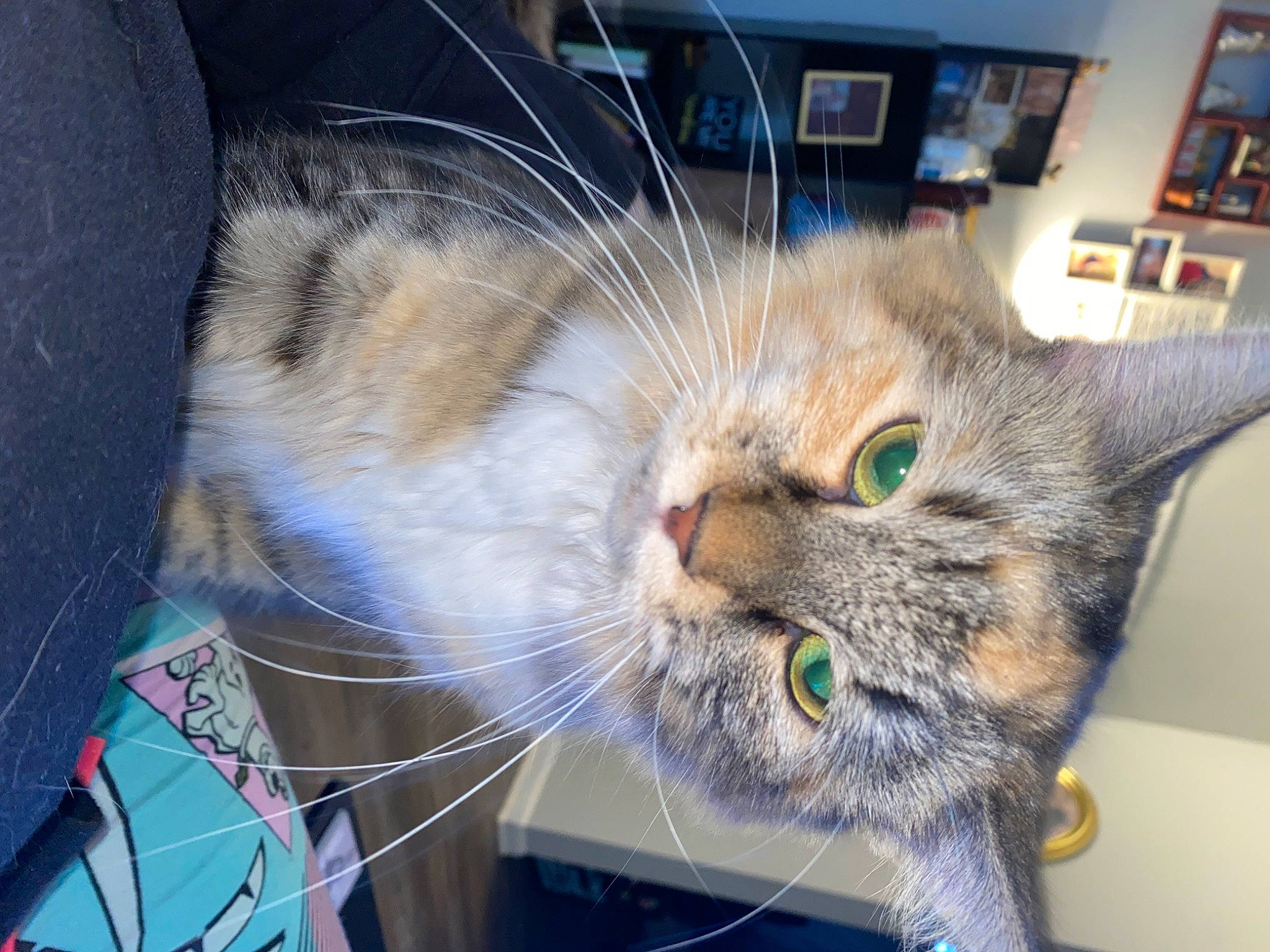 Michonne Hawthorne Grimes