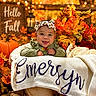 Emersyn joined the competition — help win amazing prizes! baby, child, infant, smiling, portrait, autumn, fall, pumpkin, leaves, blanket, bow_headband, green_outfit, cozy, seasonal, outdoor, string_lights, rustic, wooden_crate, warm_lighting, photography